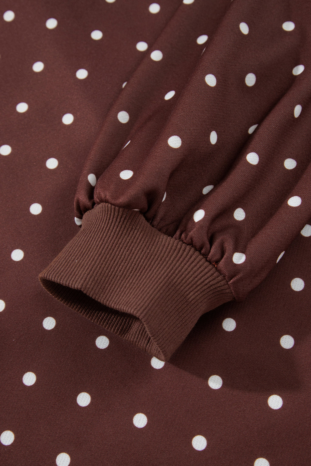 Brown Polka Dot Print Metal Button Collar Casual Pullover Sweatshirt