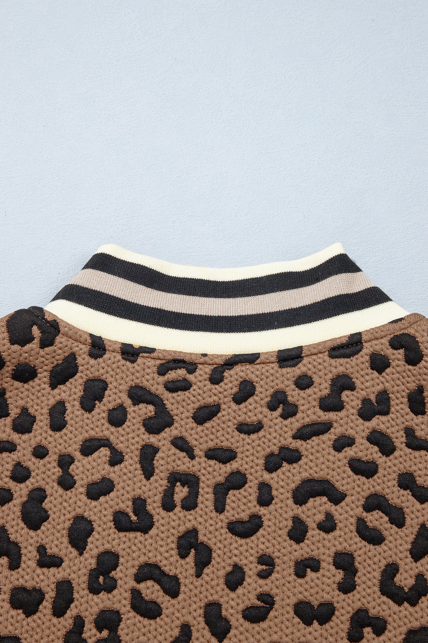 Brown Leopard Print Striped Trim Collar Long Sleeve Shift Pullover