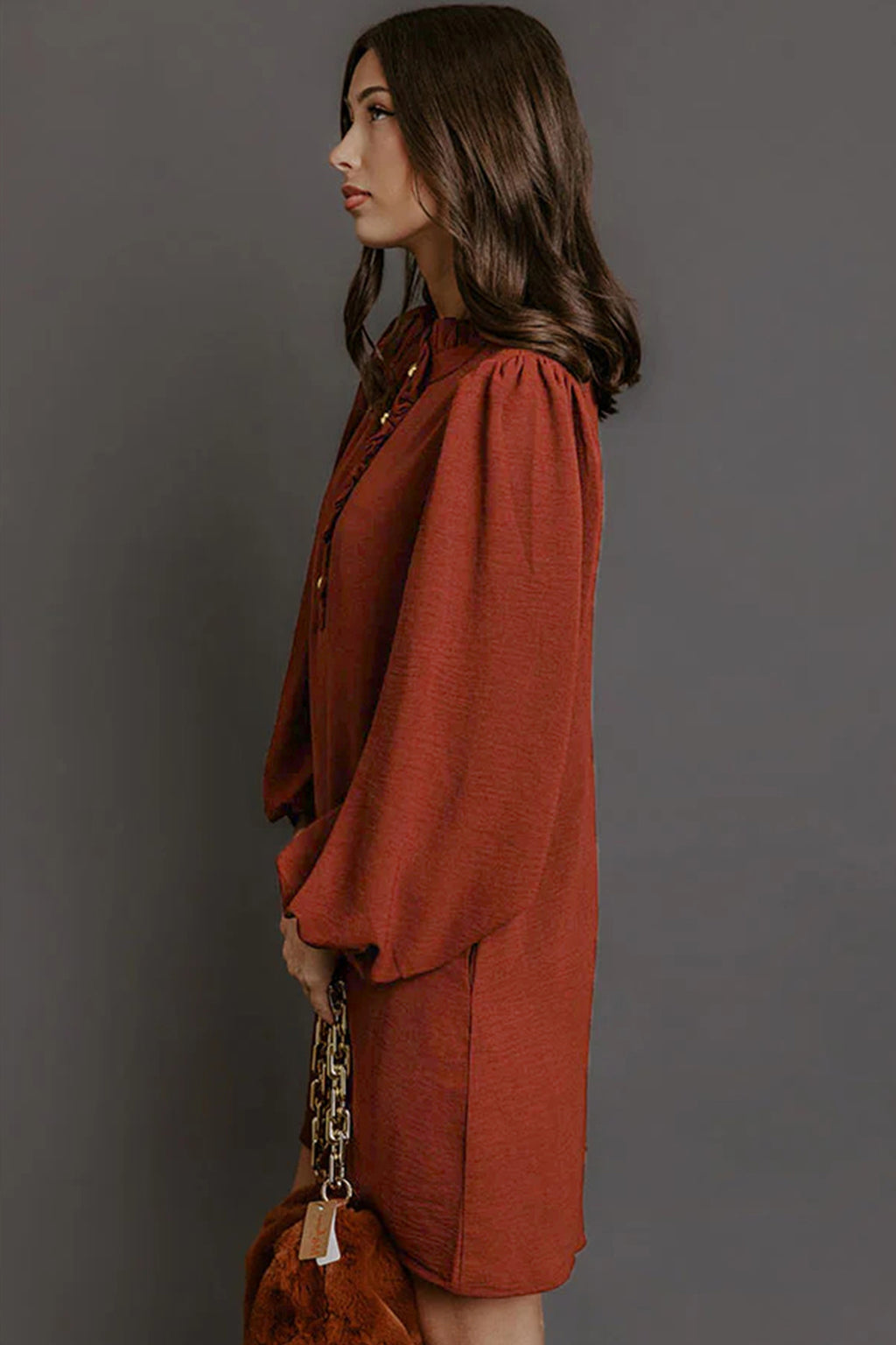 Coffee Solid Shift Long Sleeve Short Length One Piece Dress