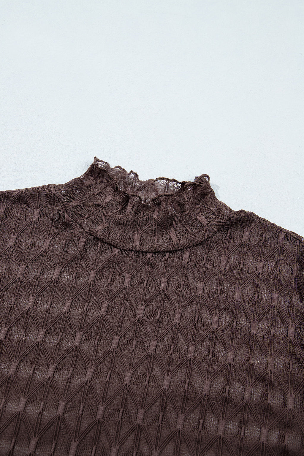 Chicory Coffee Sheer Textured Lace Stand Neck Long Sleeve Top