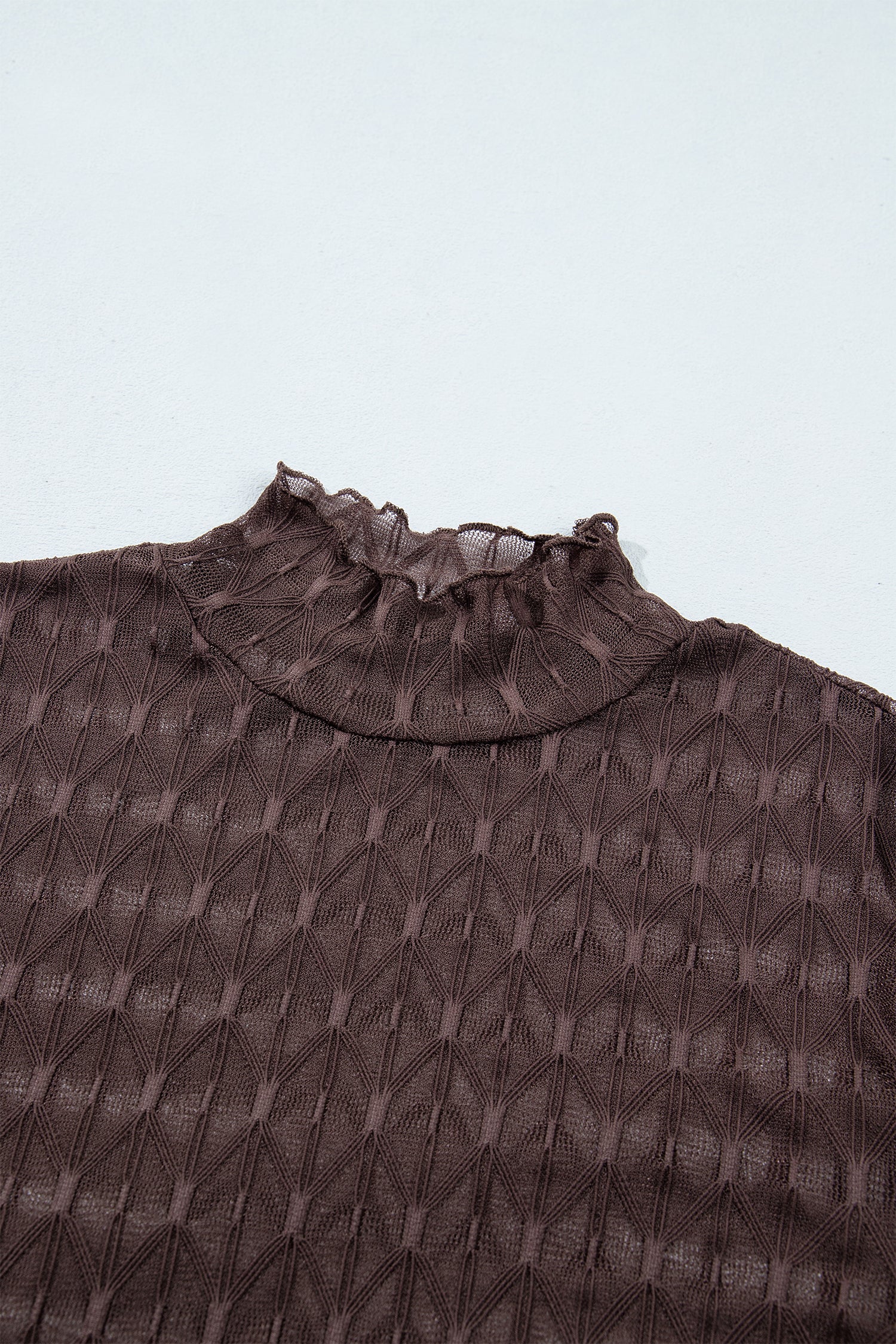 Chicory Coffee Sheer Textured Lace Stand Neck Long Sleeve Top