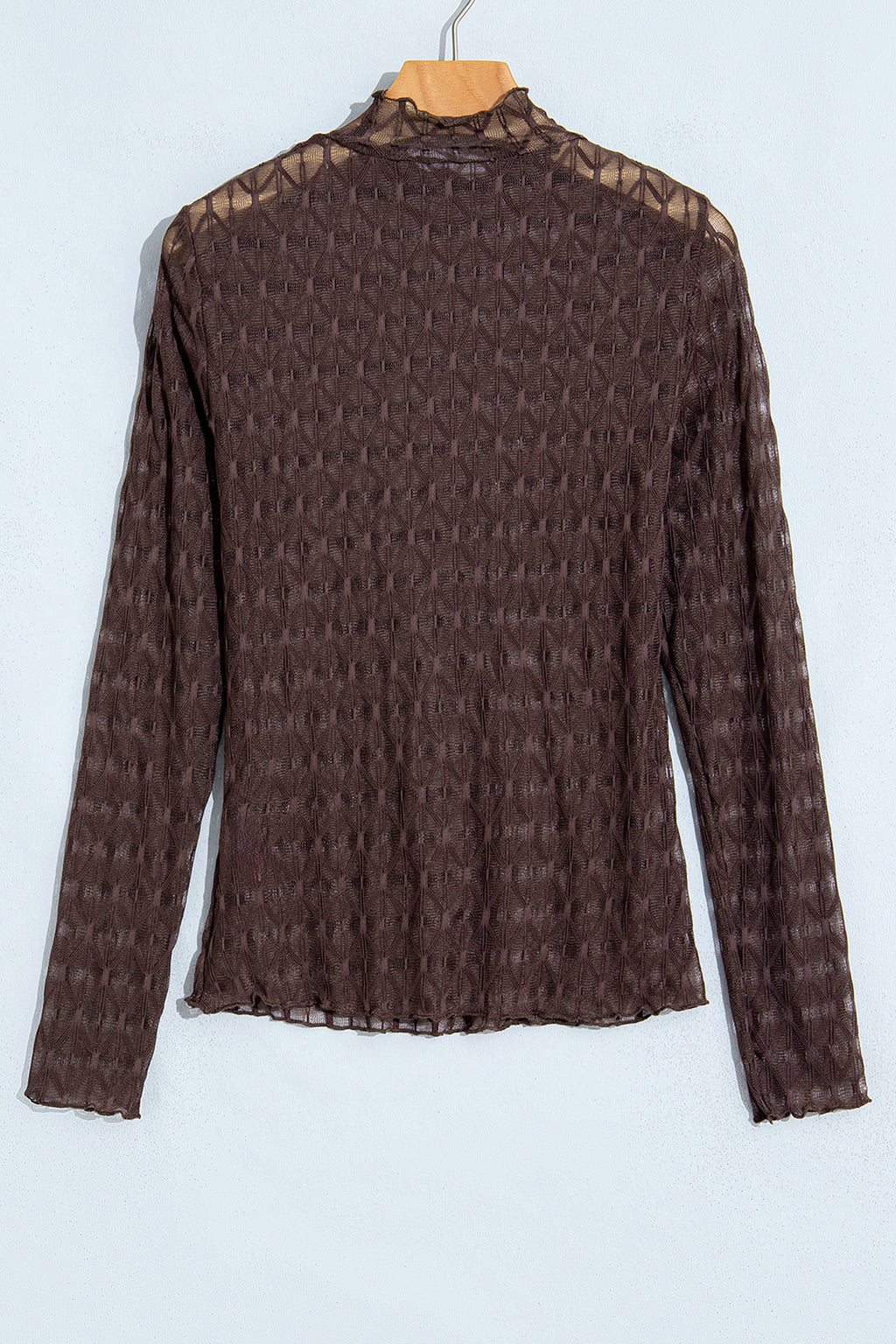 Chicory Coffee Sheer Textured Lace Stand Neck Long Sleeve Top