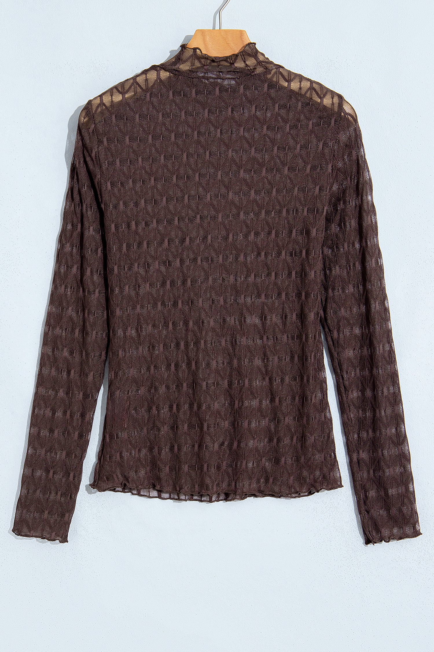 Chicory Coffee Sheer Textured Lace Stand Neck Long Sleeve Top
