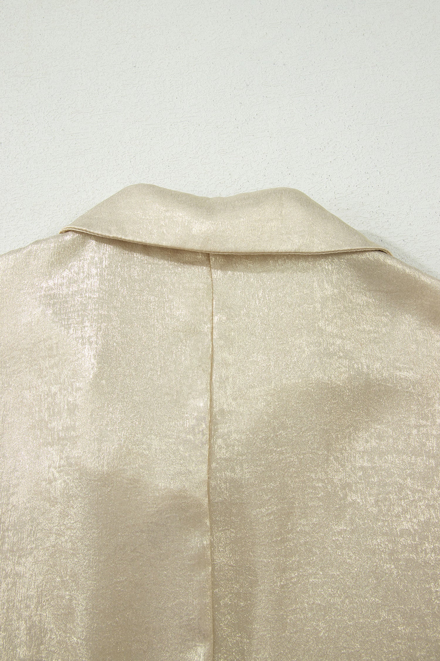 Myosotis Collared V Neck Half Sleeve Metallic Top