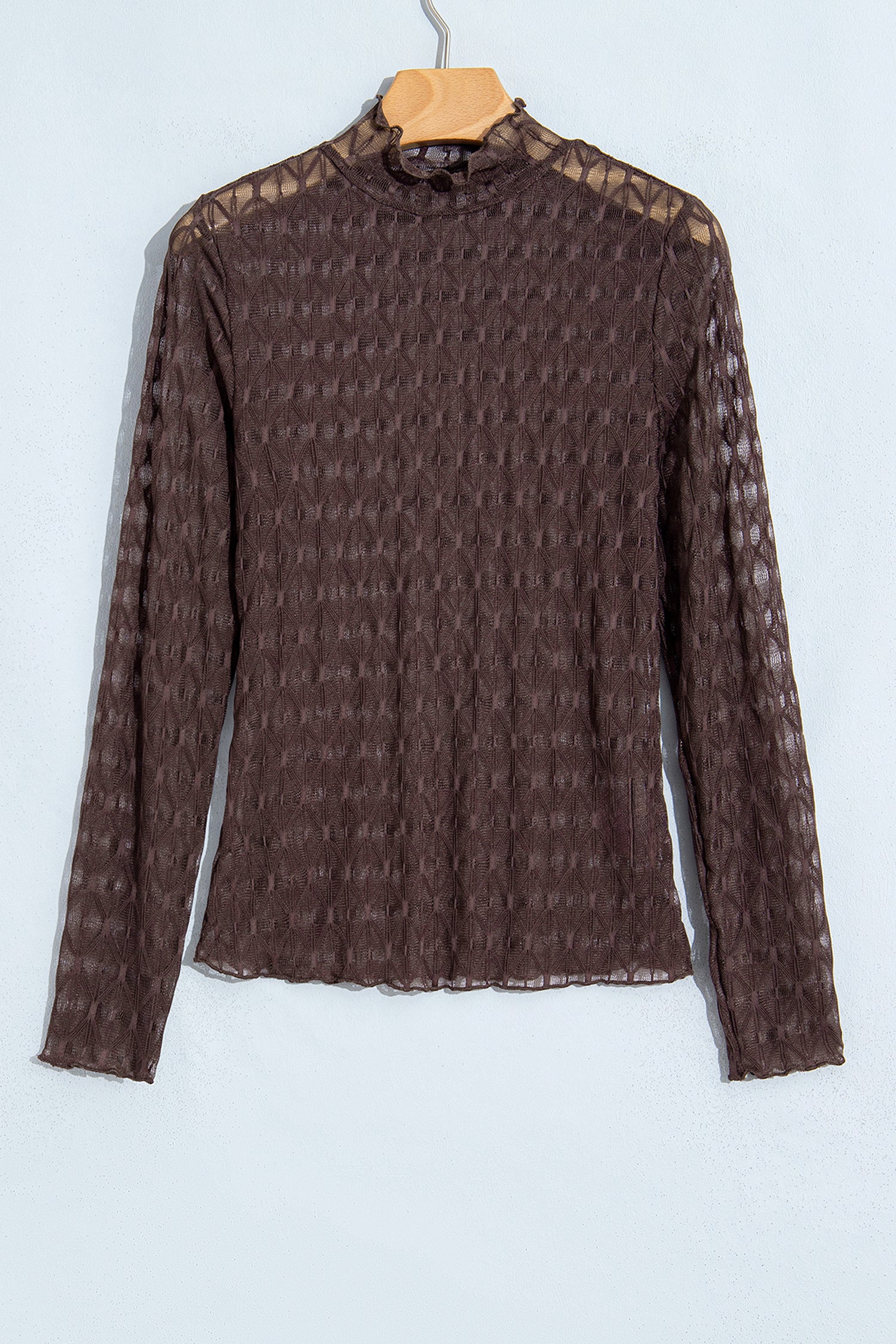 Chicory Coffee Sheer Textured Lace Stand Neck Long Sleeve Top
