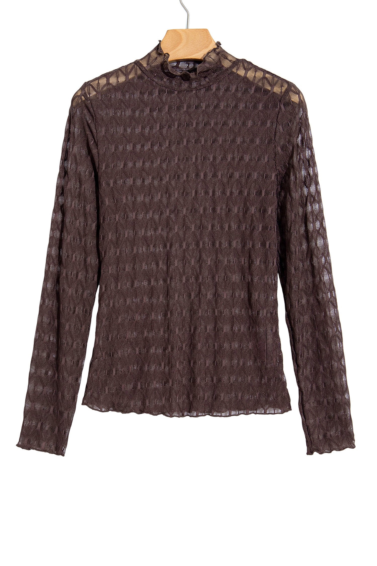 Chicory Coffee Sheer Textured Lace Stand Neck Long Sleeve Top