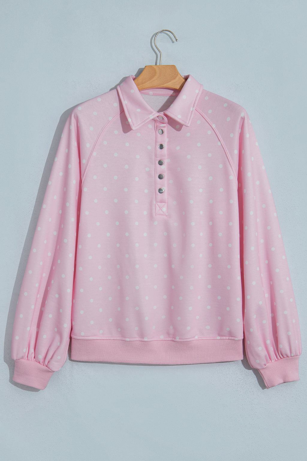 Brown Polka Dot Print Metal Button Collar Casual Pullover Sweatshirt