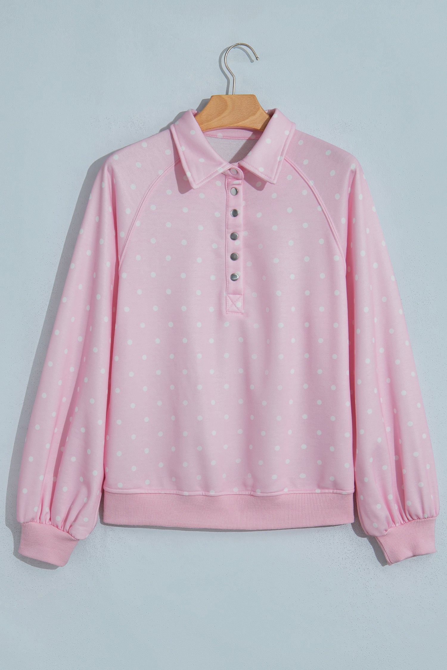 Brown Polka Dot Print Metal Button Collar Casual Pullover Sweatshirt