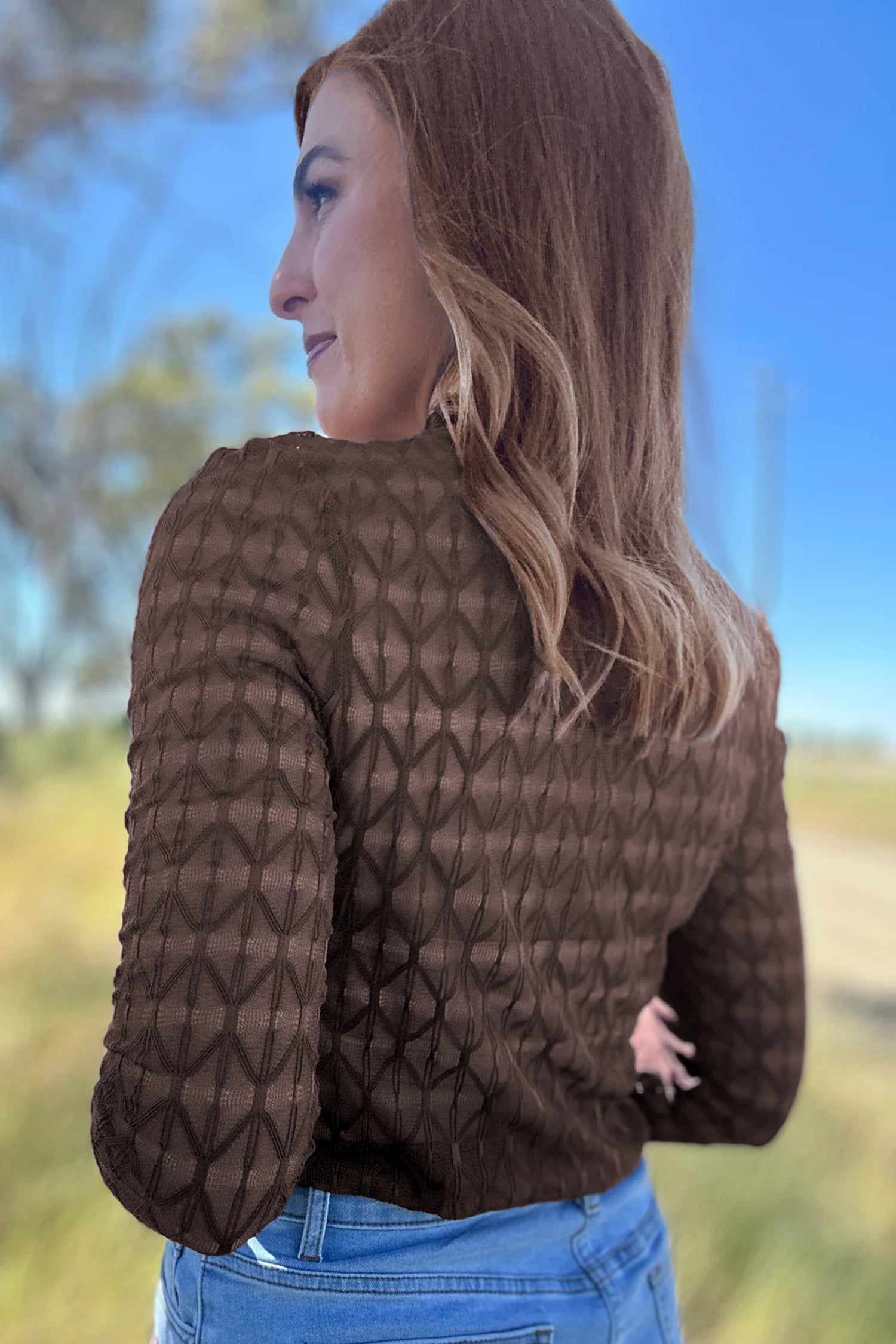 Chicory Coffee Sheer Textured Lace Stand Neck Long Sleeve Top