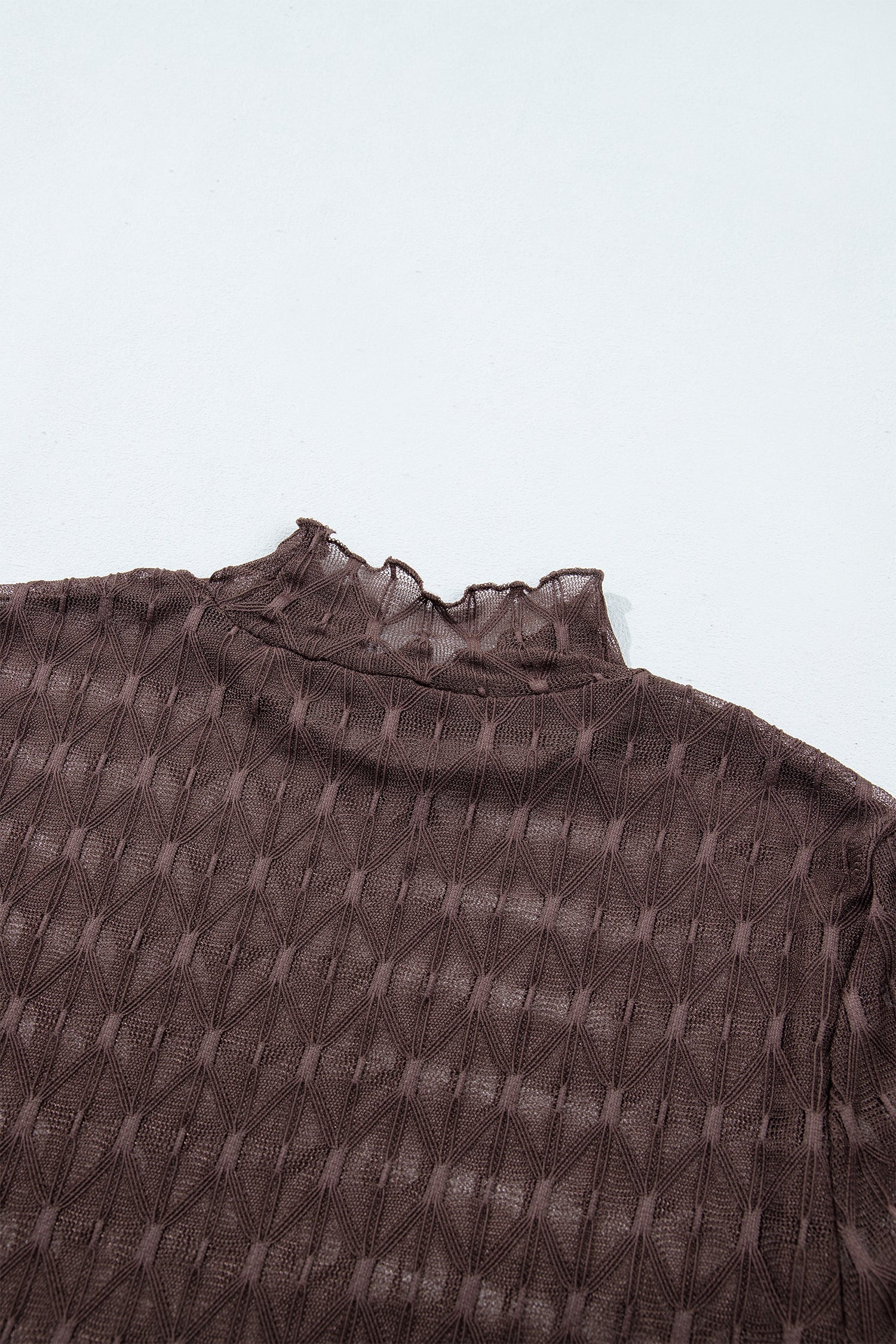 Chicory Coffee Sheer Textured Lace Stand Neck Long Sleeve Top