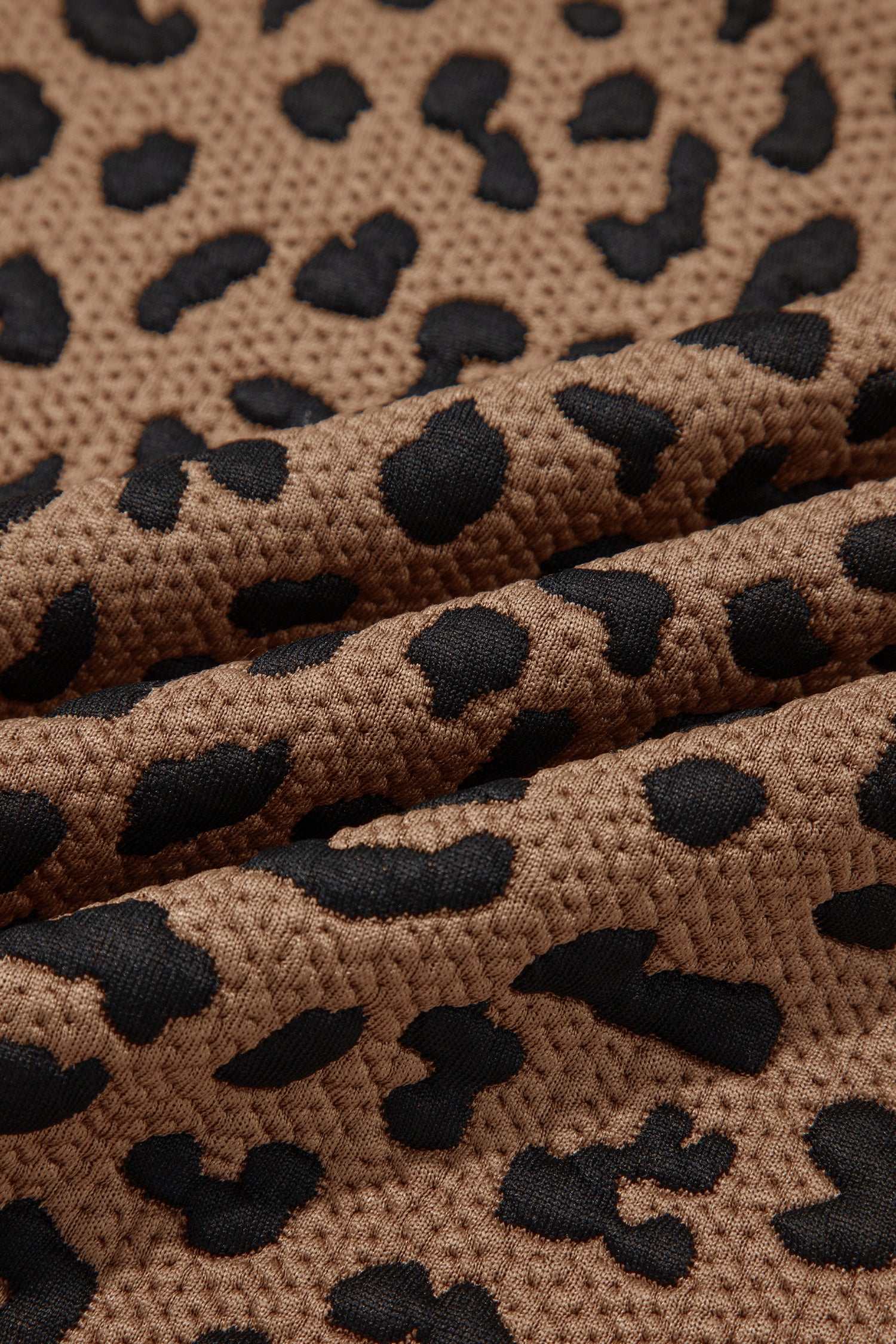 Brown Leopard Print Striped Trim Collar Long Sleeve Shift Pullover